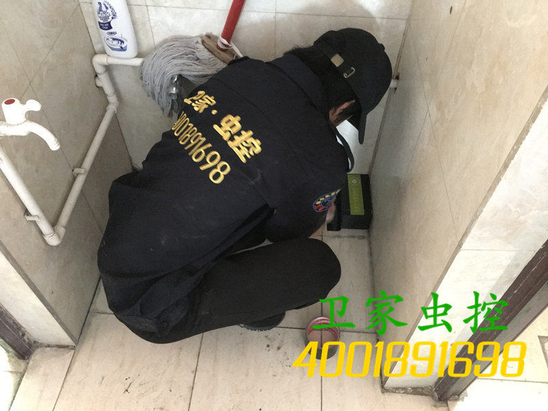 肇庆端州区白蚁防治所公司<您身边的白蚁专家>指定上门灭治白蚁除杀白蚁中心-端州区专业权威的白蚁预防治理